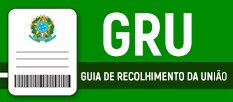 imagem de background - Guia de Recolhimento da União - GRU