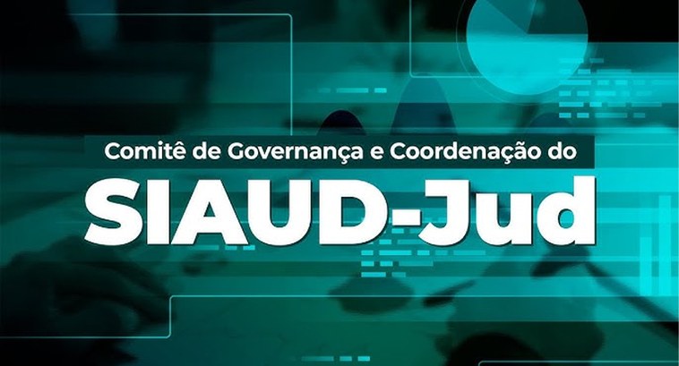 Coordenador de auditoria interna é nomeado para o Comitê de Governança do SIAUD-Jud do CNJ Adail Vilela toma posse hoje (20/08) como membro do Comitê de Governança do Sistema de Auditoria...