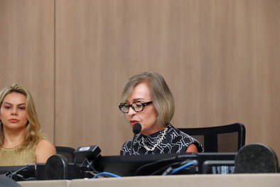 IV Mulheres na Política debateu participação feminina e democracia