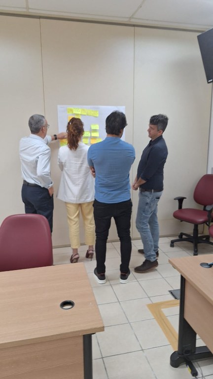 Análise das entrevistas e discussão sobre as dores do público