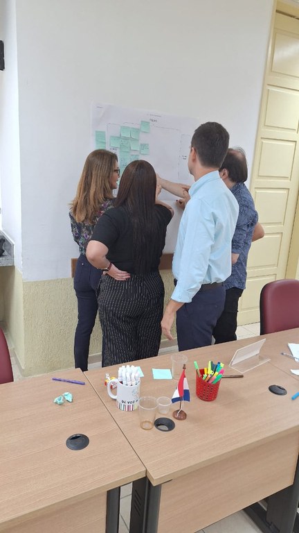 Análise das entrevistas e discussão sobre as dores do público