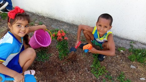 Participação cidadã