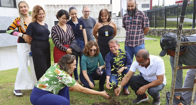 Servidoras e servidores plantam árvores nativas nas dependências do TRE-SE A ação faz parte da programação da semana do meio ambiente