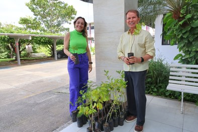 TRE-SE celebra o Dia da Árvore com distribuição de mudas