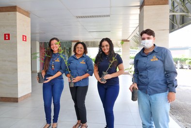 TRE-SE celebra o Dia da Árvore com distribuição de mudas
