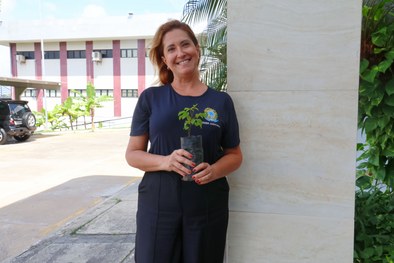 TRE-SE celebra o Dia da Árvore com distribuição de mudas