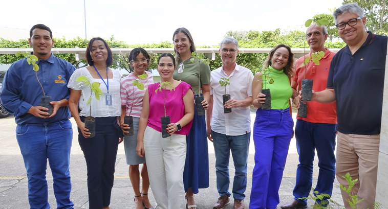 TRE-SE celebra o Dia da Árvore com distribuição de mudas TRE-SE celebra o Dia da Árvore com distribuição de mudas